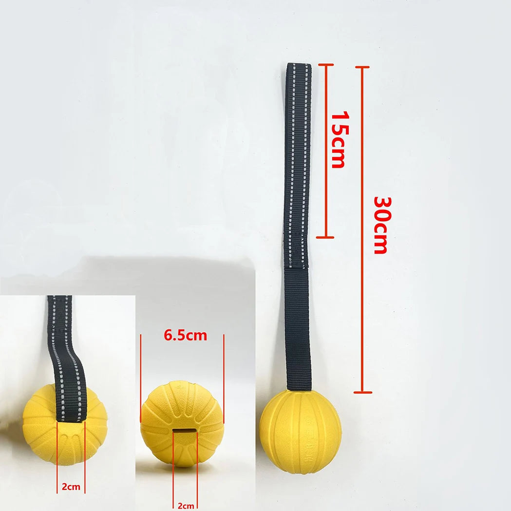 Dog Toy Balls On a Rope