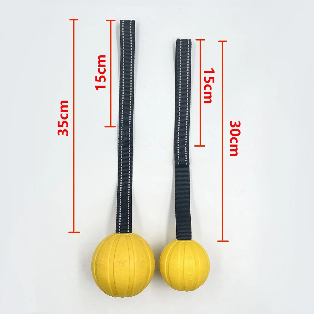 Dog Toy Balls On a Rope