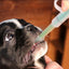 Pet Pill Dispenser