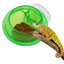 Reptile Suction Feeder Bowl