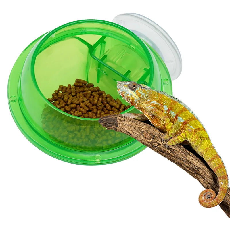 Reptile Suction Feeder Bowl