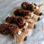 Durable Plush Dog Toy