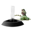 Auto Reptile Feeder & Water