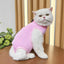 Cats Surgery Recovery Suit