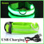 USB Rechargeable LED Collar