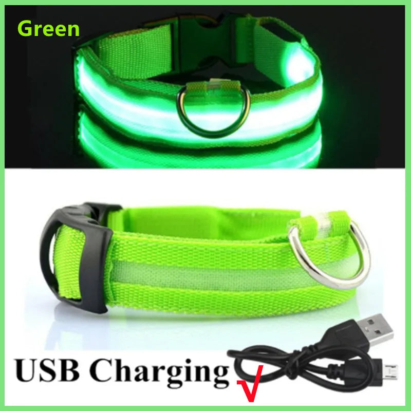 USB Rechargeable LED Collar
