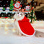 Santa Cat Outfit Costume