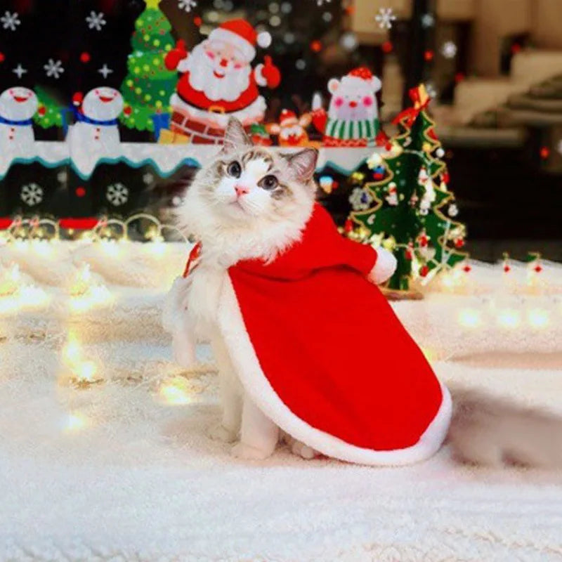 Santa Cat Outfit Costume