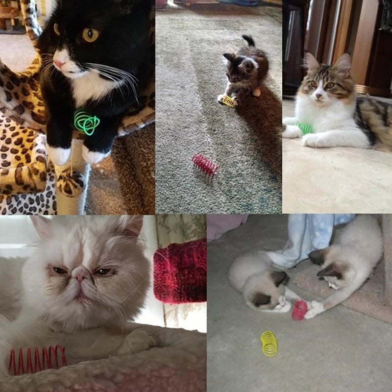 Durable Cat Spring Toy