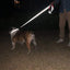 ReflectaTails Training Leash