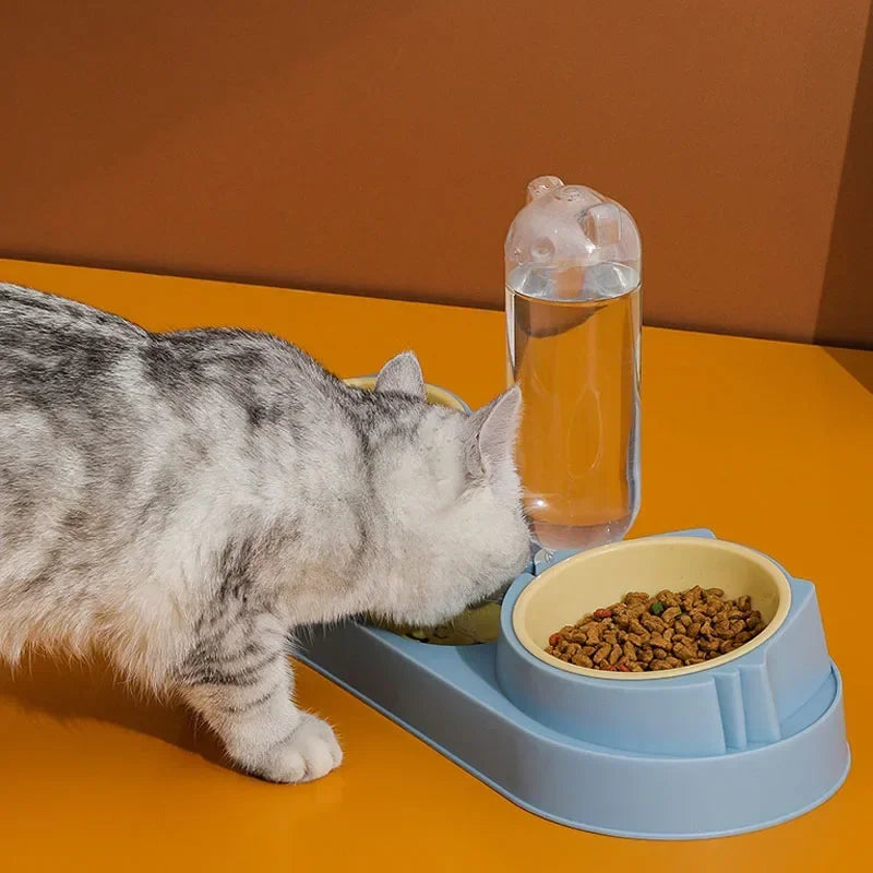 Tilted Pet Feeder Bowl