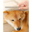 PawTrim Pet Safe Scissors