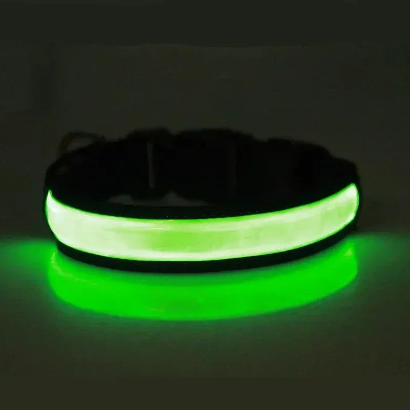 Glowing Dog Collar LED