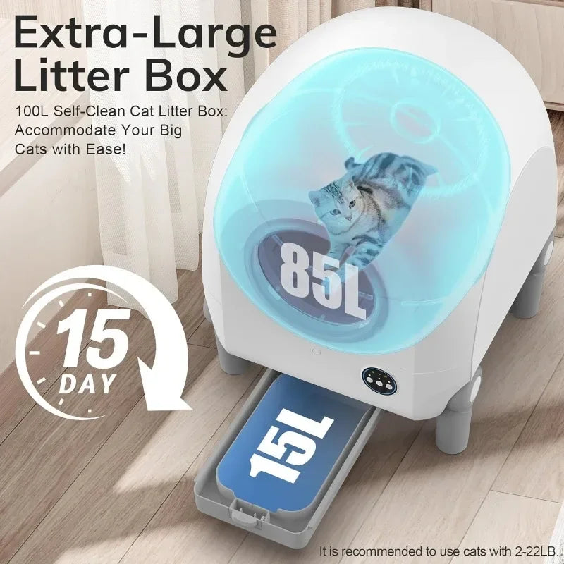 Litter Box, Upgraded