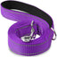 ReflectaTails Training Leash