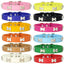 Dog Collar with Bone