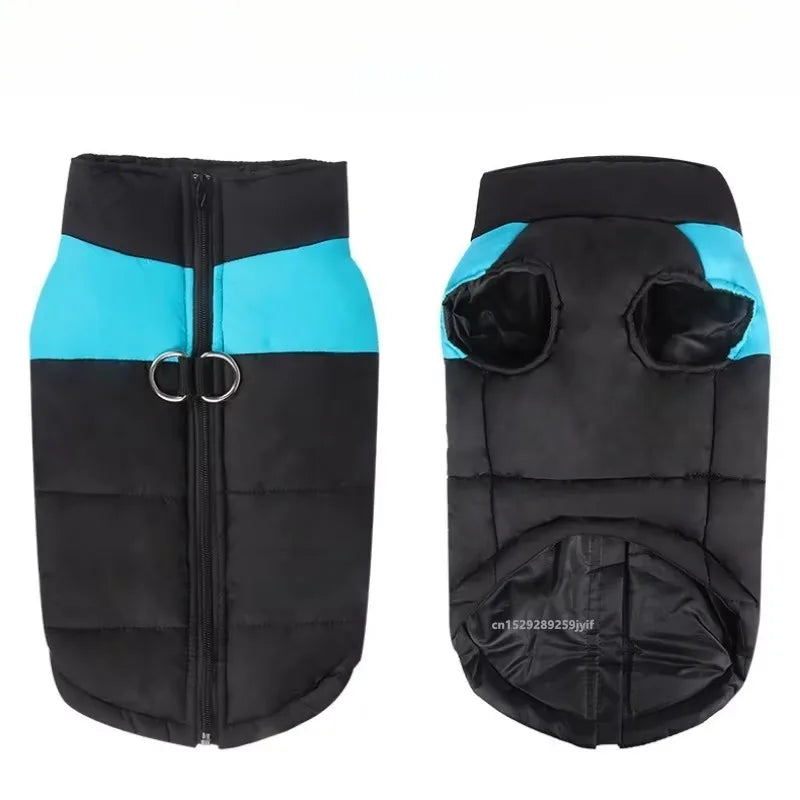 Padded Zipper Jacket