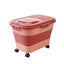 Food Storage Container Cat