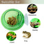 Reptile Suction Cup Feeder