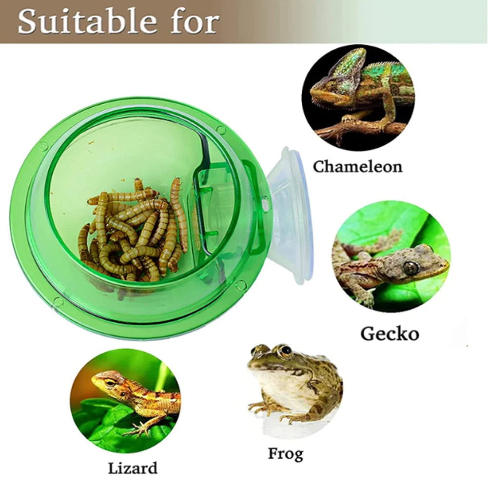 Reptile Suction Cup Feeder