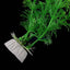 Plastic Plant Fish Tank Decor