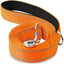 ReflectaTails Training Leash