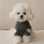 Warm Paw Cozy Outfit