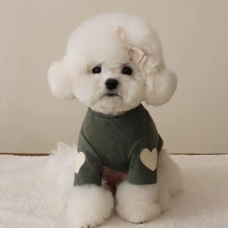 Warm Paw Cozy Outfit