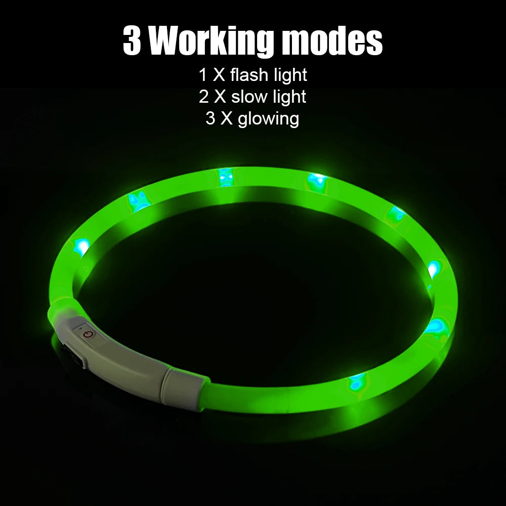Luminous LED Dog Collar