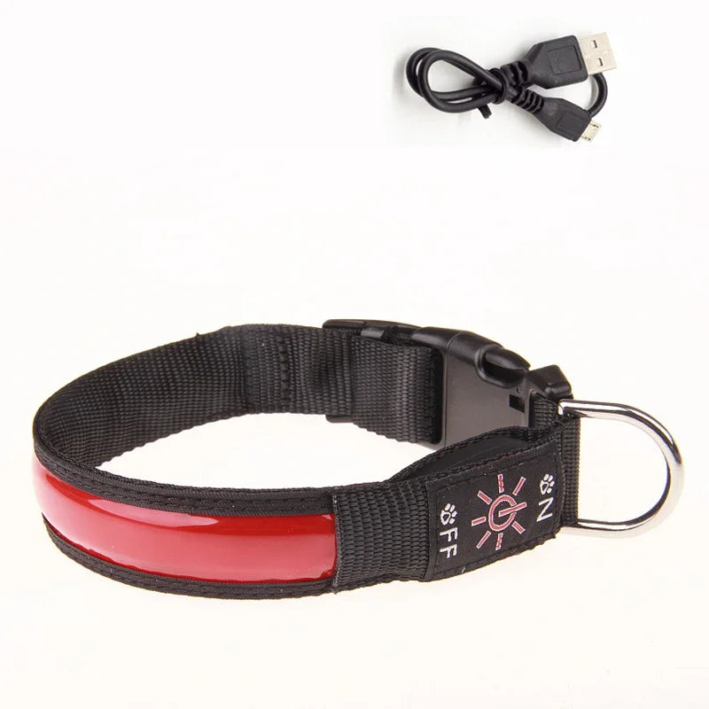 Glowing Dog Collar LED