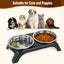 Elevated Cat Bowl Set