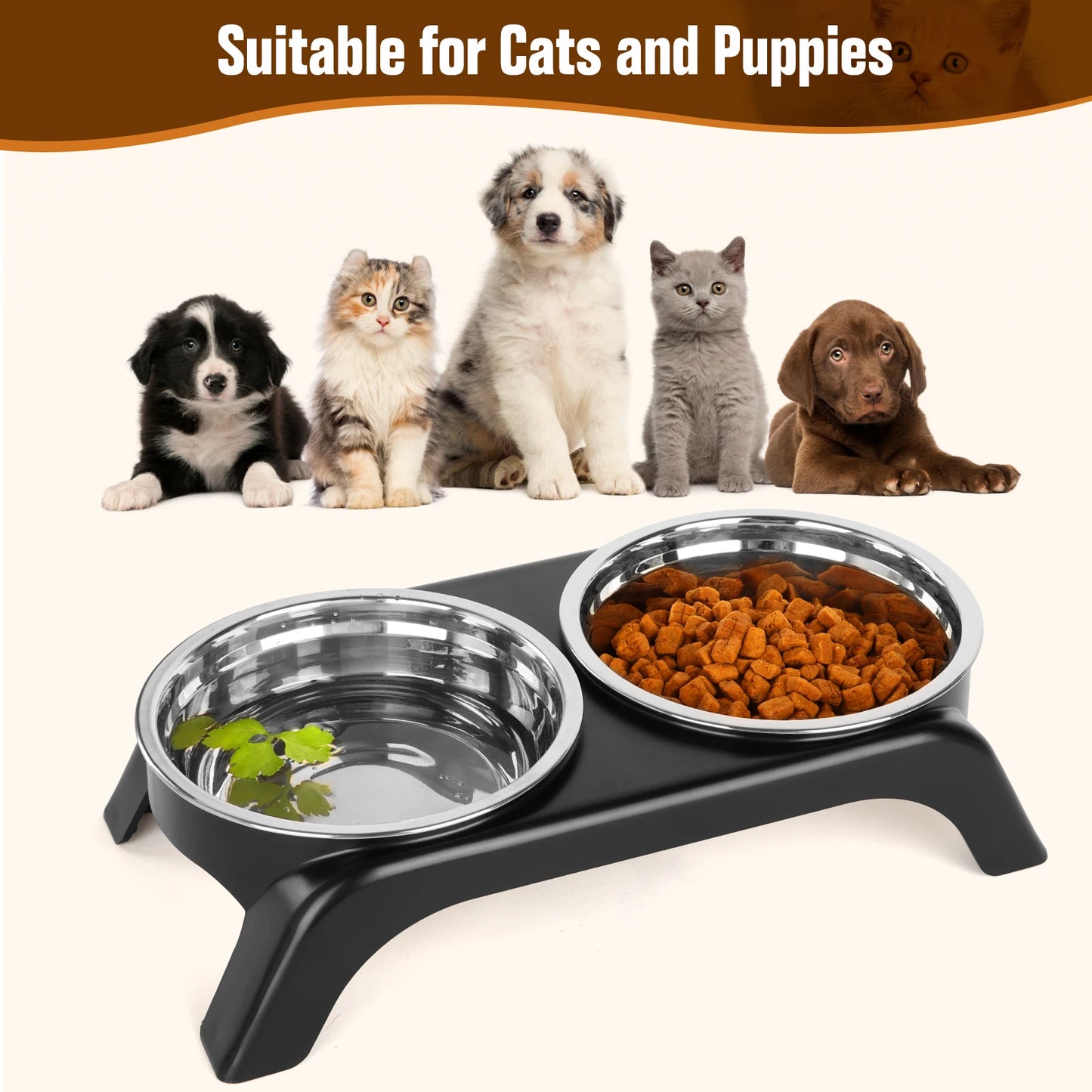 Elevated Cat Bowl Set
