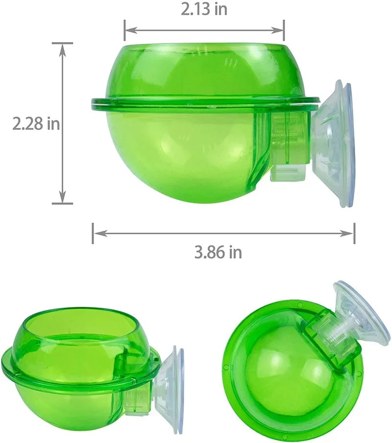 Green Reptile Feeding Bowl