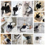 Regal Bow Lace Dog Dress