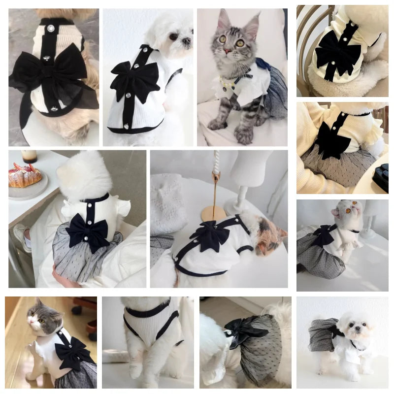 Regal Bow Lace Dog Dress