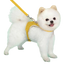 SnugFit Dog Harness