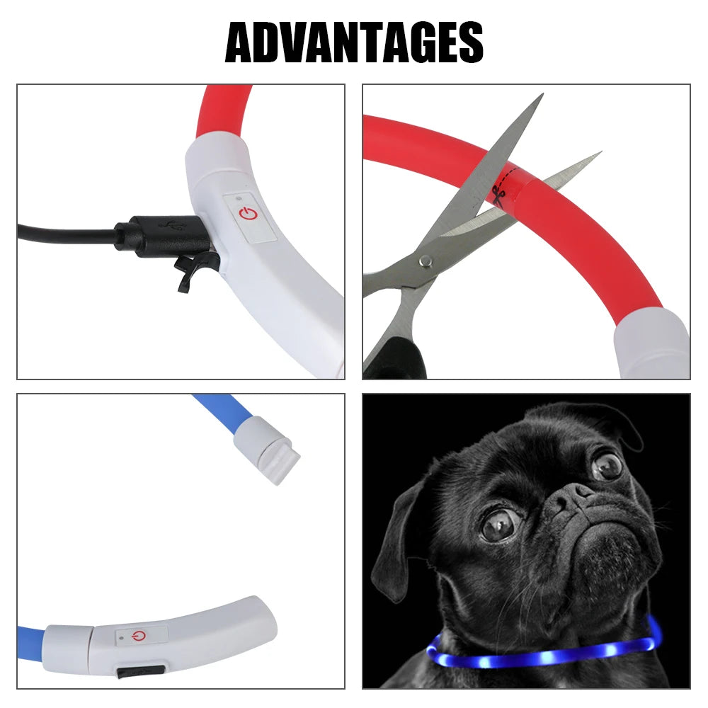 Luminous LED Dog Collar