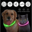 USB Rechargeable LED Collar