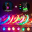 Glow Buddy Collar