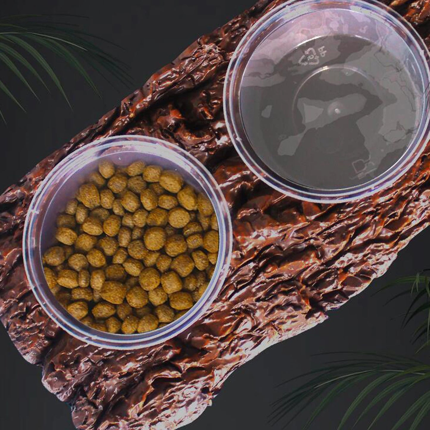 Frog & Lizard Feeder Dish