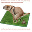 Artificial Grass Dog Mat