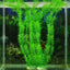 Plastic Plant Fish Tank Decor