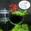 SuctionLeaf Aquarium Cup