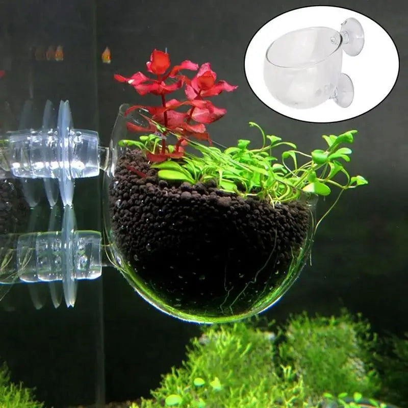 SuctionLeaf Aquarium Cup