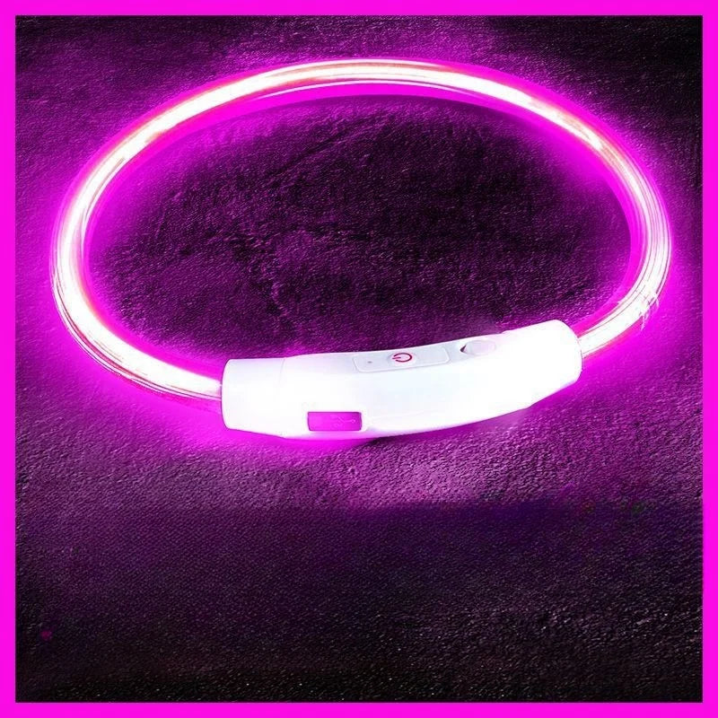 طوق ضوء LED للكلاب