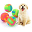 Glowing Ball Dog Toy