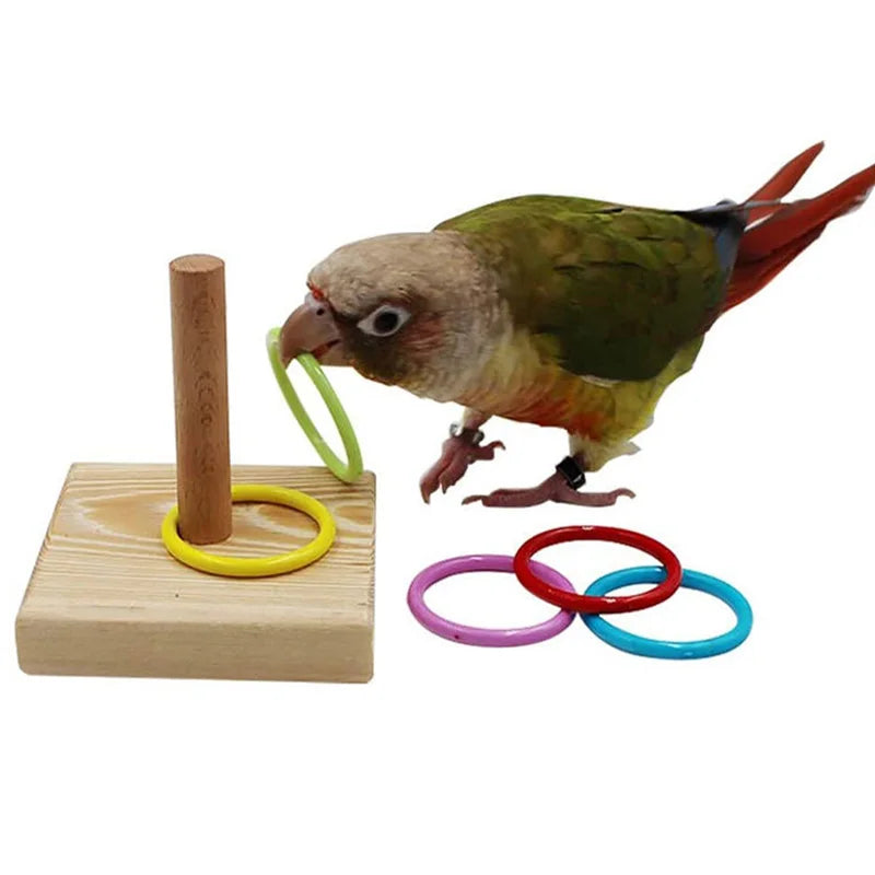 Bird Training Toys Wooden Set