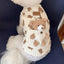 Puppy Clothes Autumn