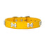 Dog Collar with Bone