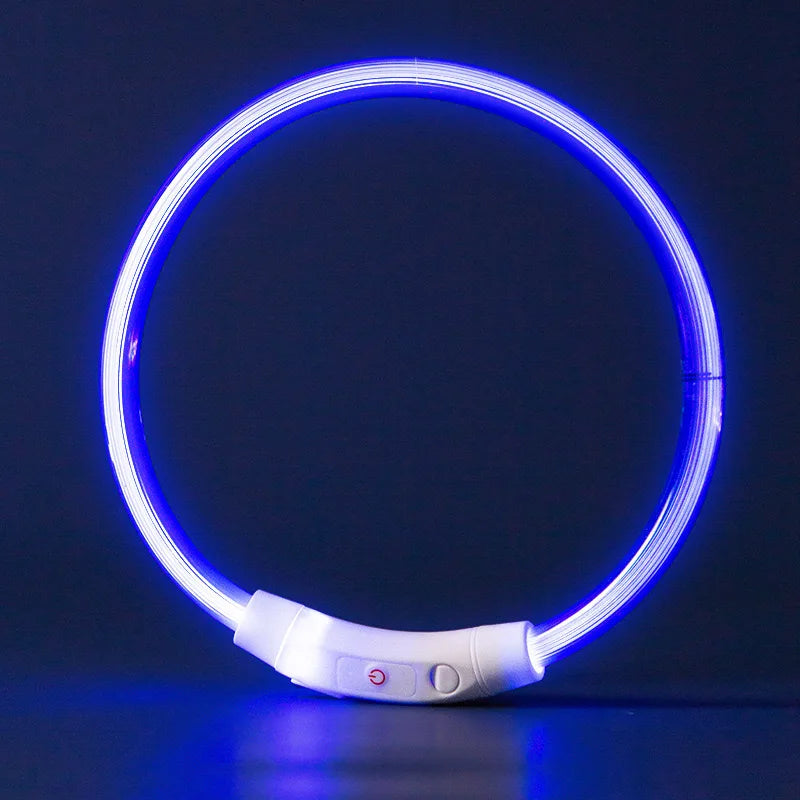 طوق ضوء LED للكلاب
